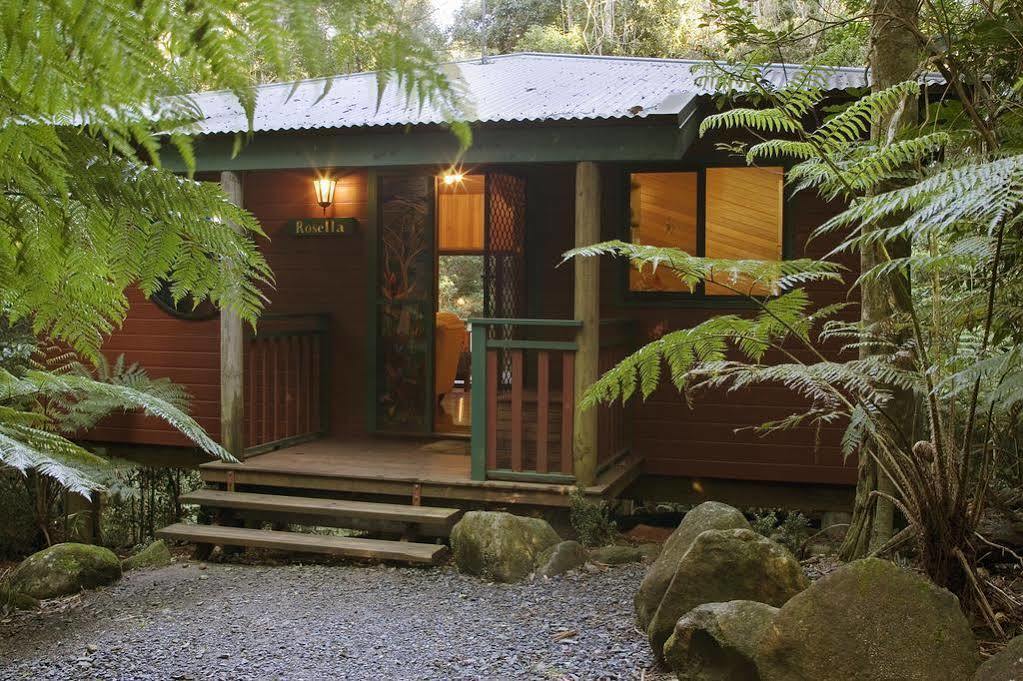 Lodge Lyrebird Retreat