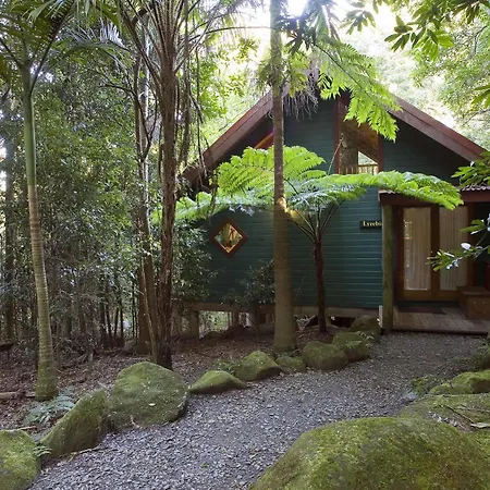 Springbrook Lyrebird Retreat Villa Exterior photo