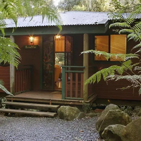 Springbrook Lyrebird Retreat Villa Exterior photo