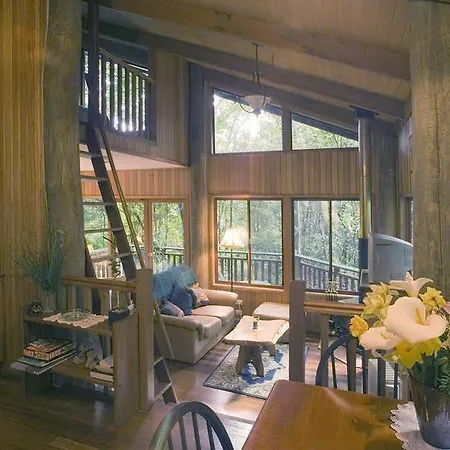 Springbrook Lyrebird Retreat Villa Exterior photo