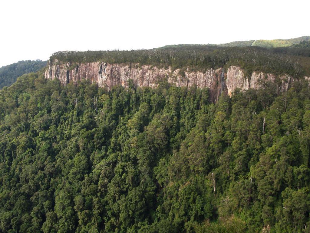 Lyrebird Retreat *