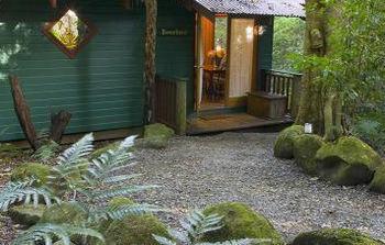 Lyrebird Retreat Springbrook