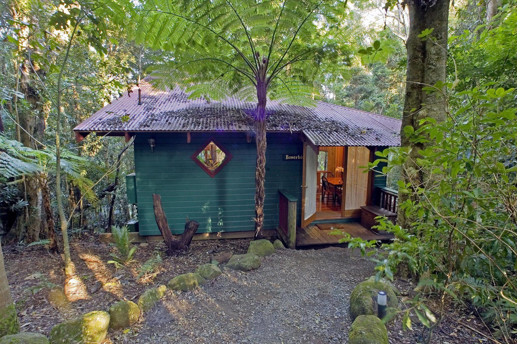 Lyrebird Retreat Lodge *