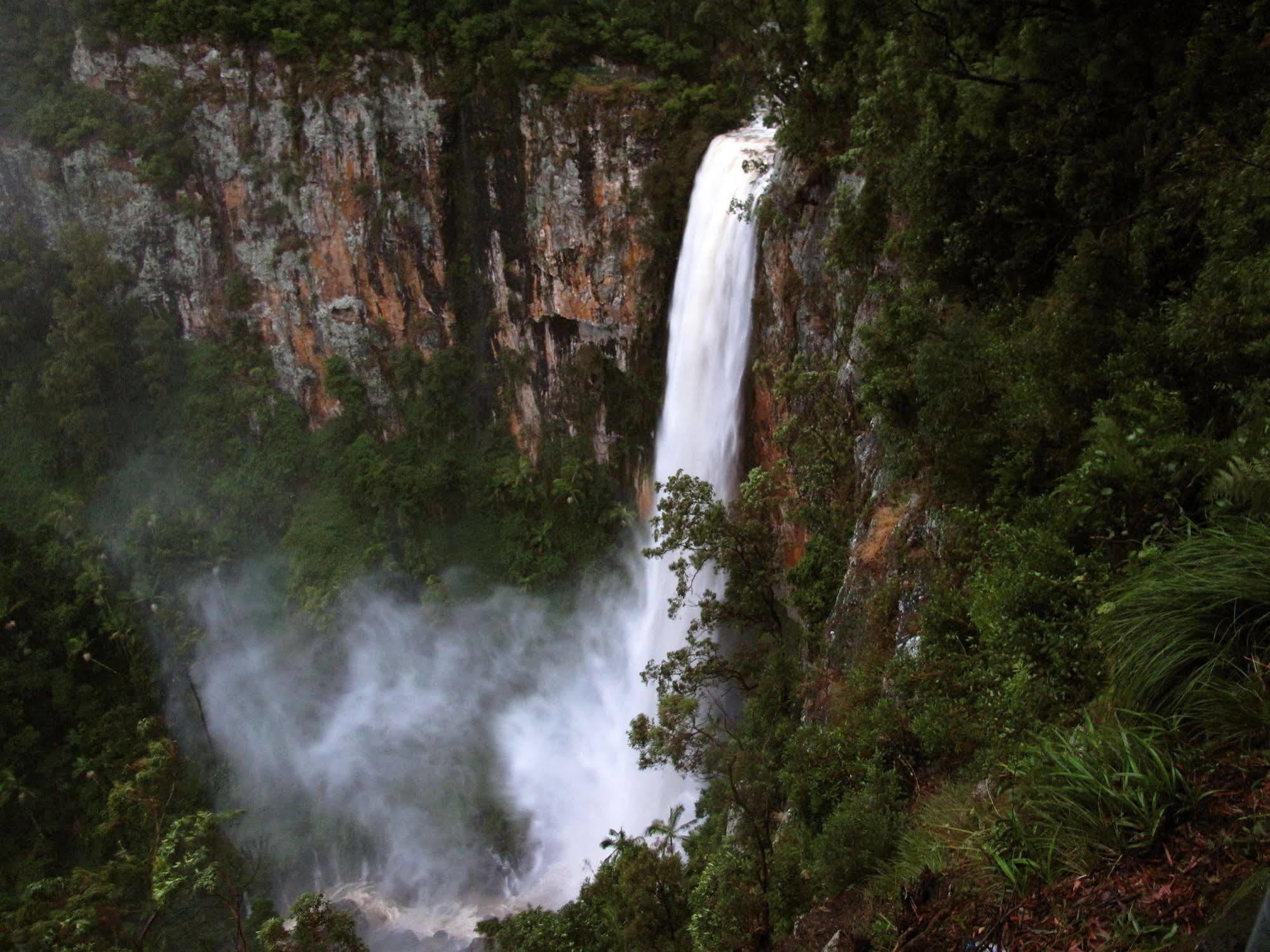 Lyrebird Retreat * Springbrook