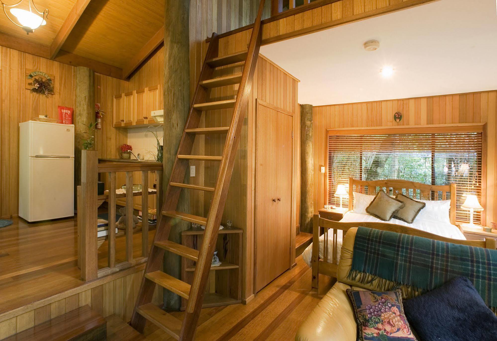 Lyrebird Retreat * Springbrook