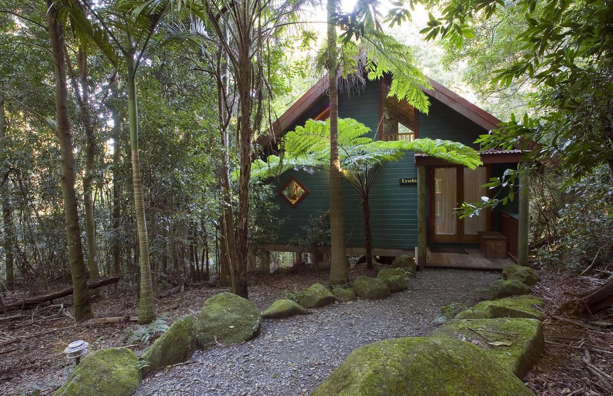 Lyrebird Retreat * Springbrook