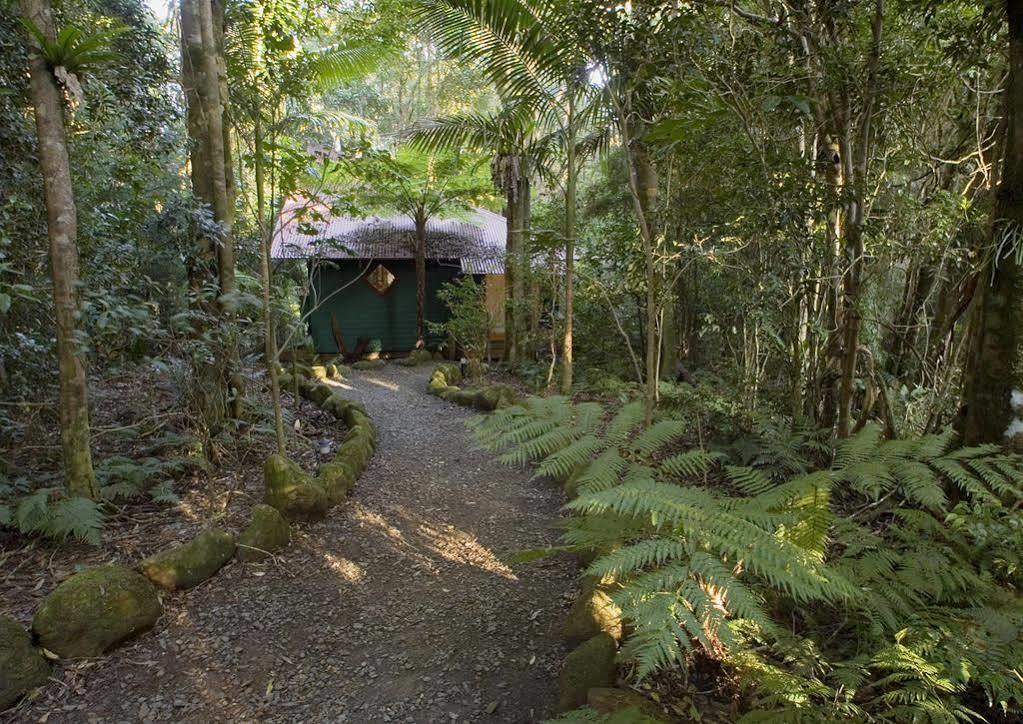 Lodge Lyrebird Retreat Springbrook